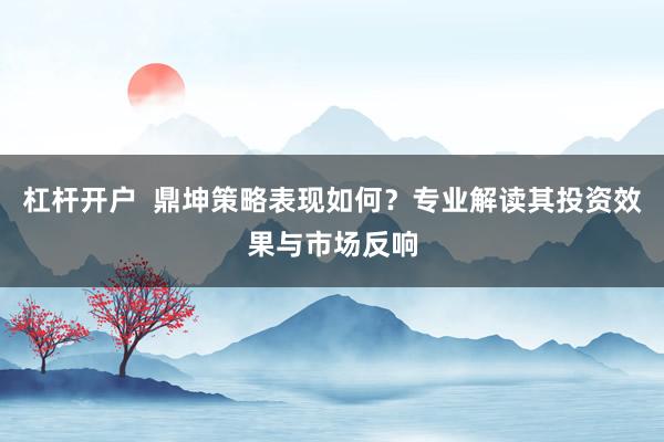 杠杆开户  鼎坤策略表现如何？专业解读其投资效果与市场反响