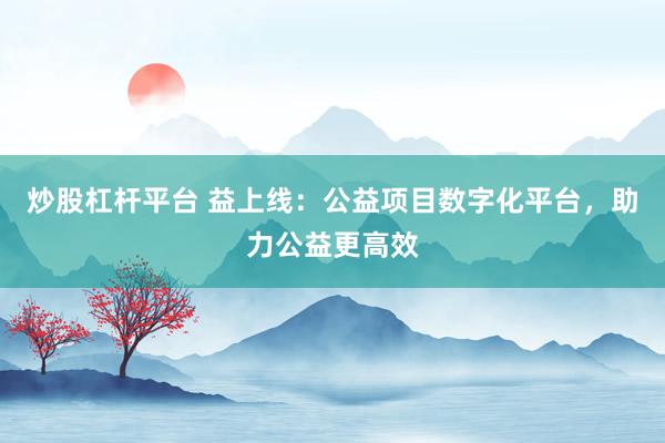 炒股杠杆平台 益上线：公益项目数字化平台，助力公益更高效
