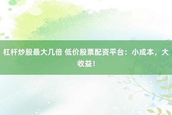 杠杆炒股最大几倍 低价股票配资平台：小成本，大收益！